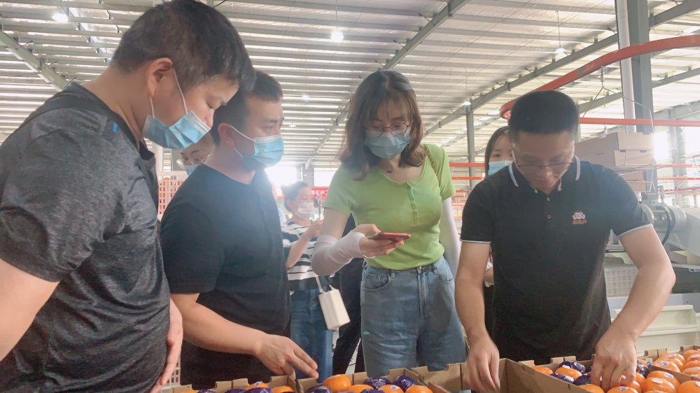  足校建设如火如荼，青少年培养体系完善